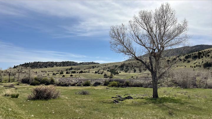 Otter Landing Campsite.